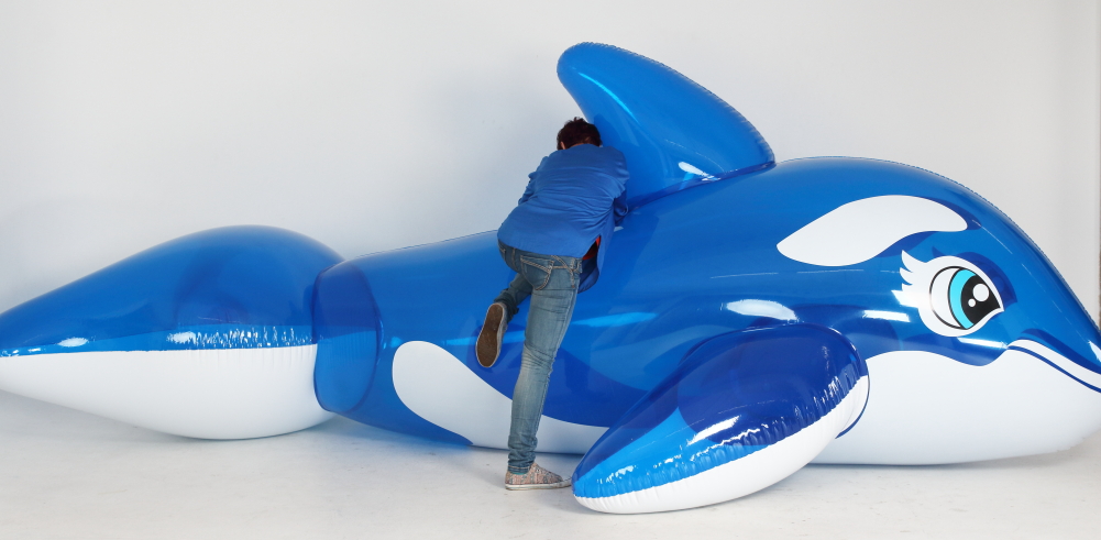 Whale 5m blue transparent_3